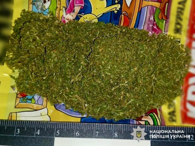 Новини Харківщини: вилучили коноплі та канабіс на Балаклійщині